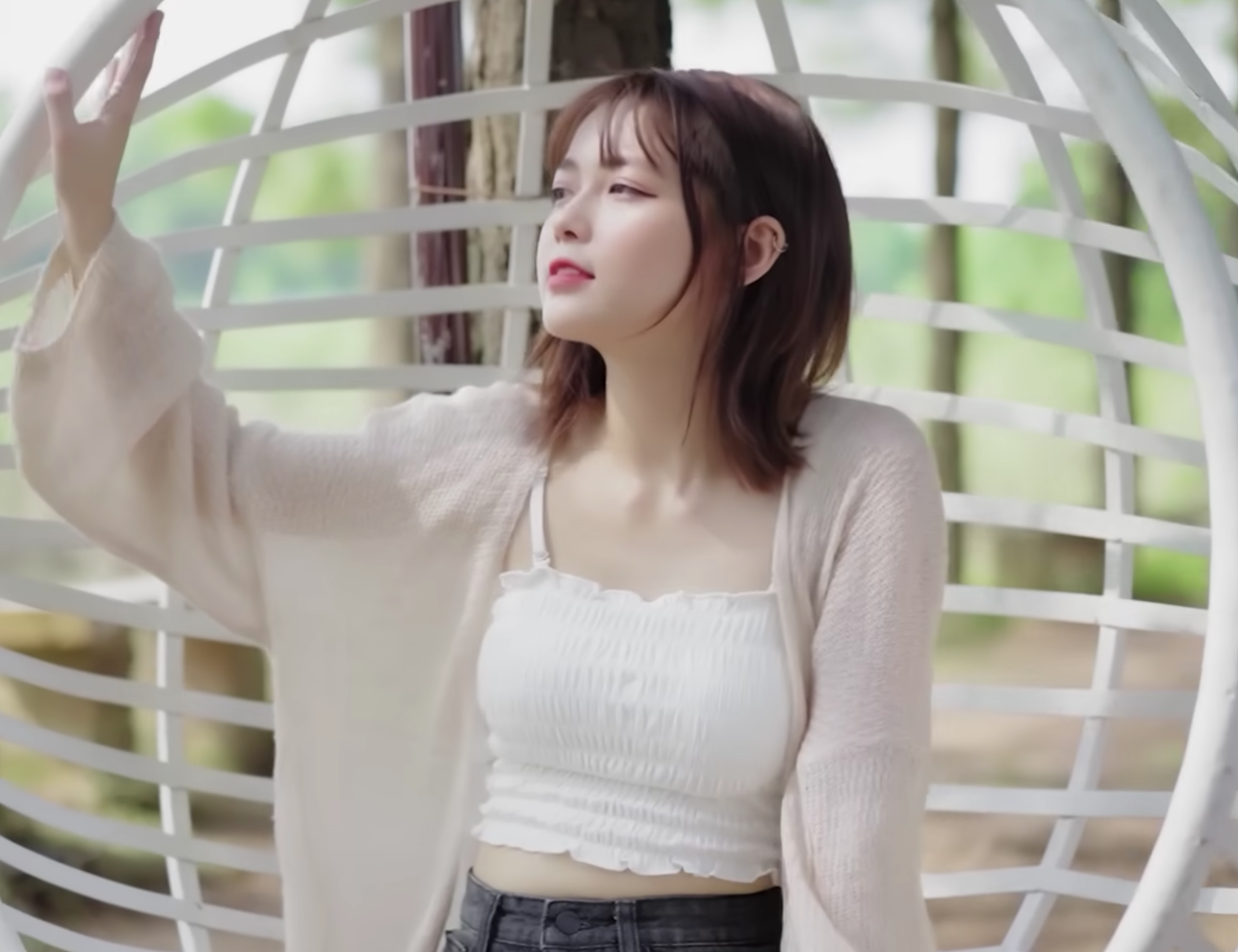 lĩnh vực hoạt động